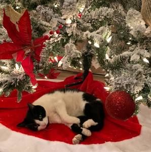 Meet your Posher, Maria